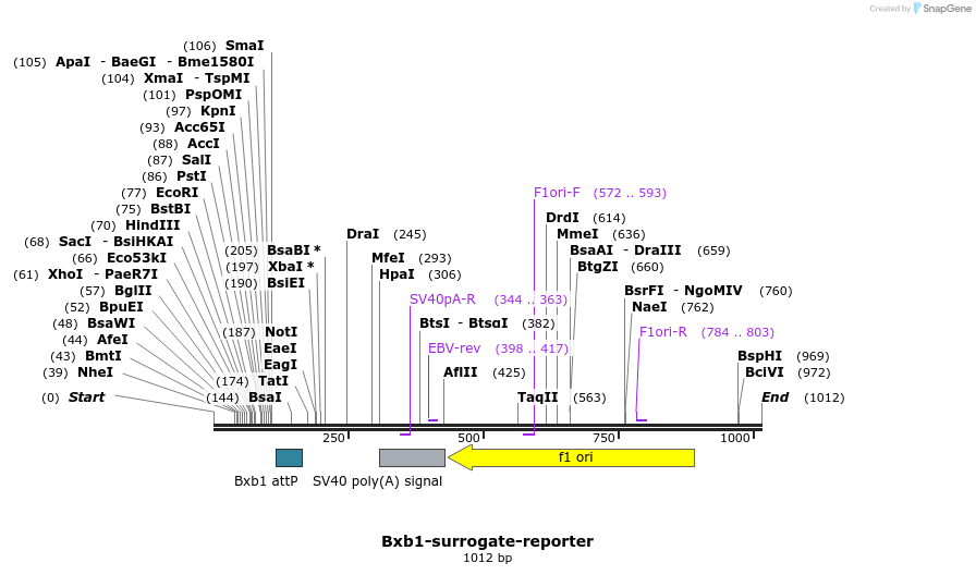 122970_map