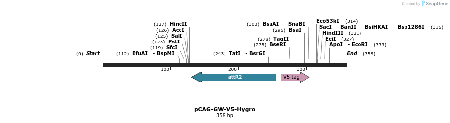 122989_map