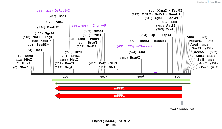 122999_map