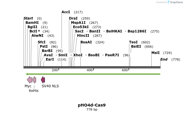 123006_map
