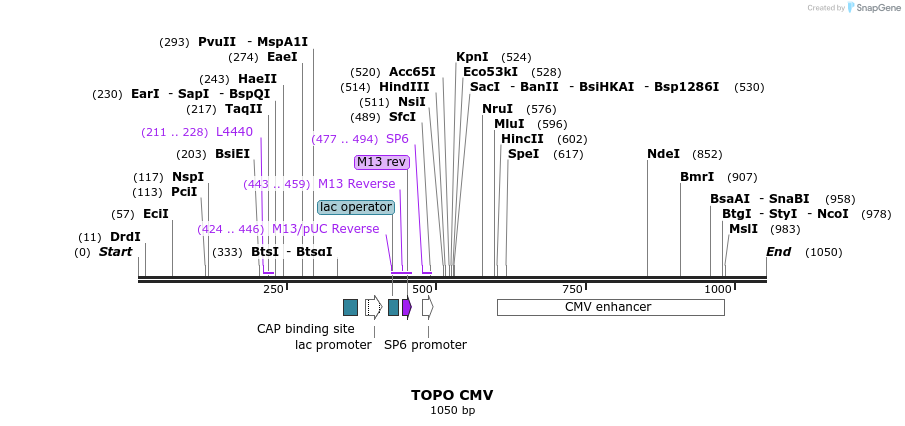 123027_map