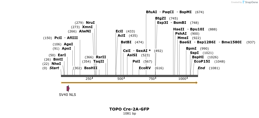 123031_map