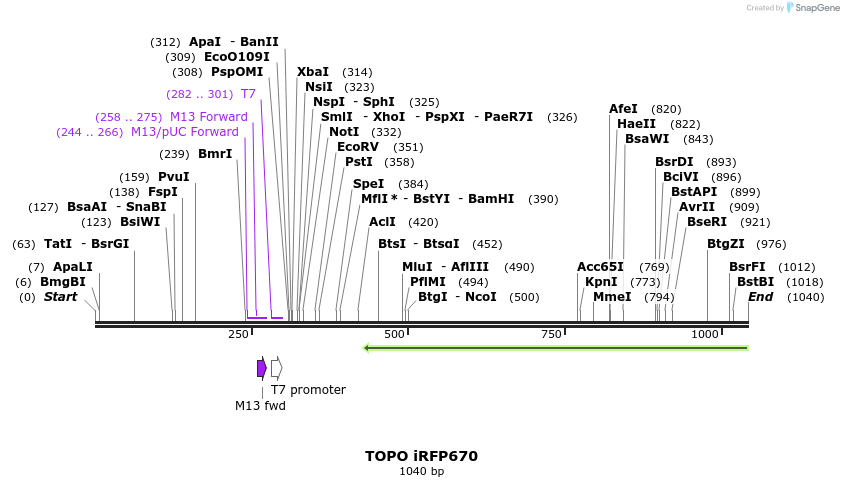 123035_map
