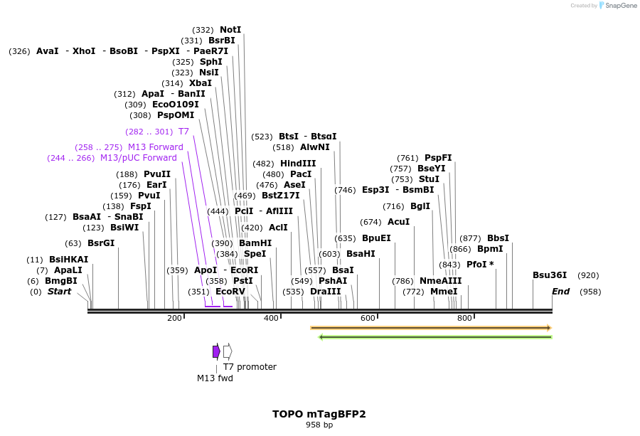 123037_map