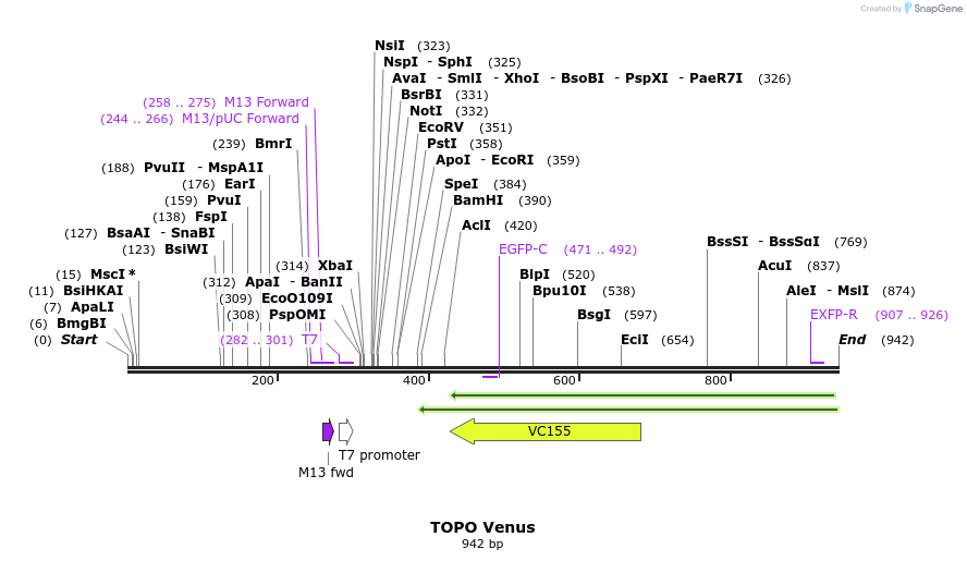 123039_map
