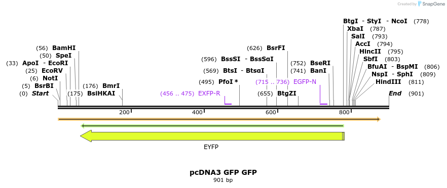 123047_map