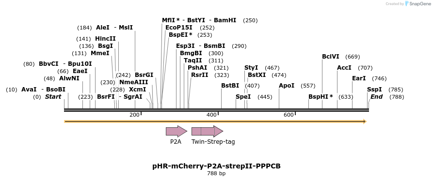 123048_map