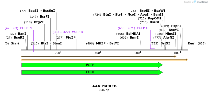 123050_map