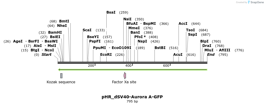 123052_map