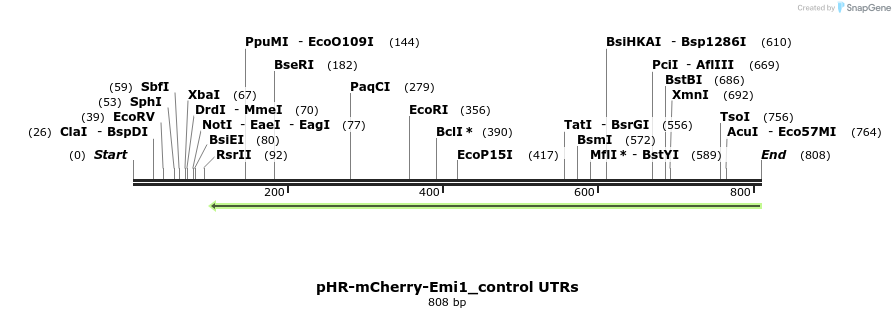 123055_map
