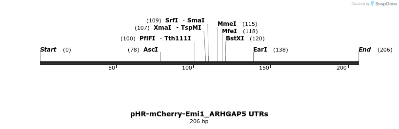 123059_map