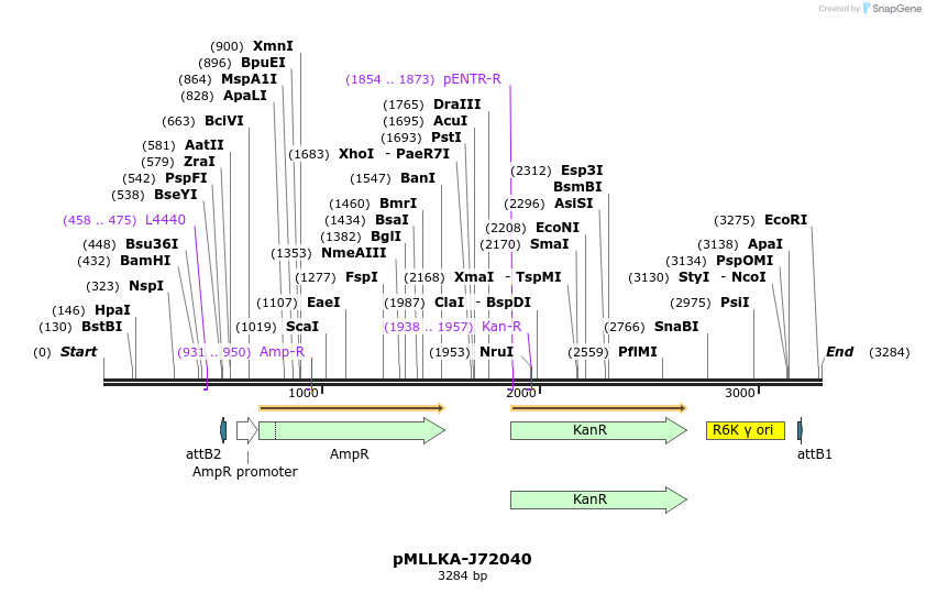 12306_map