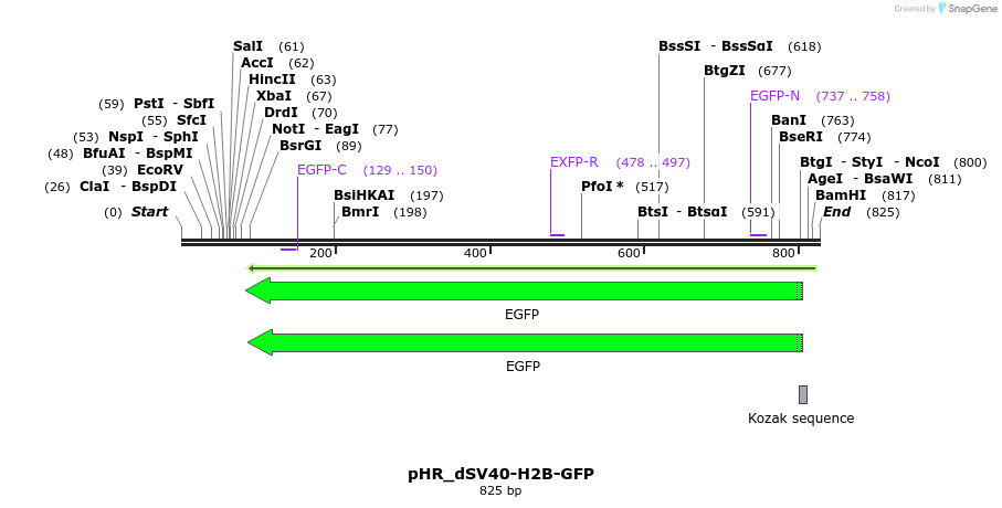 123062_map