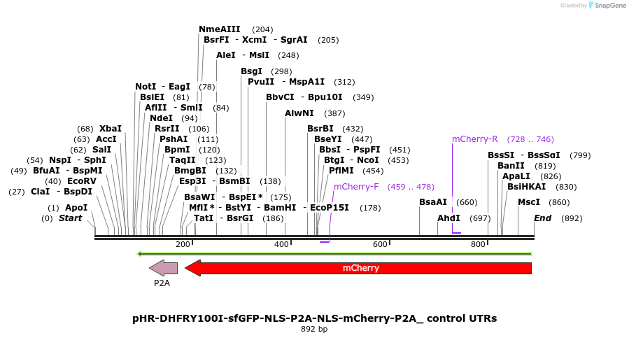 123064_map