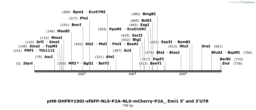 123065_map