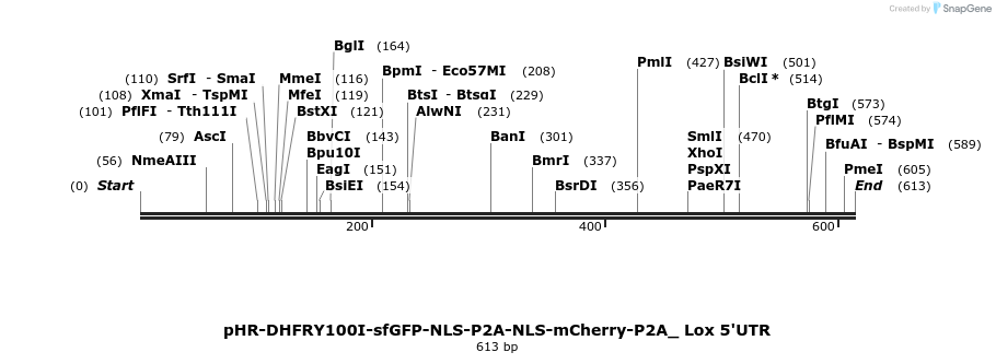 123069_map