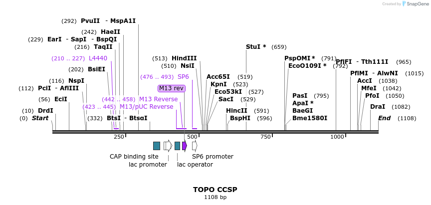 123076_map