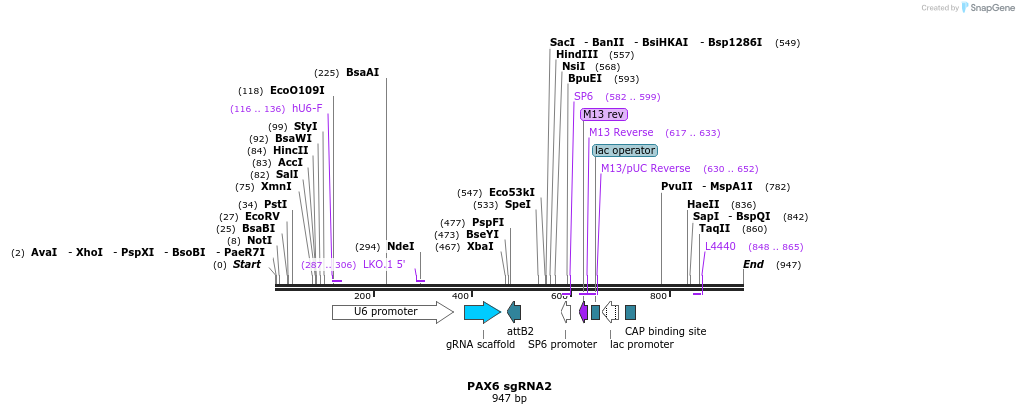 123079_map