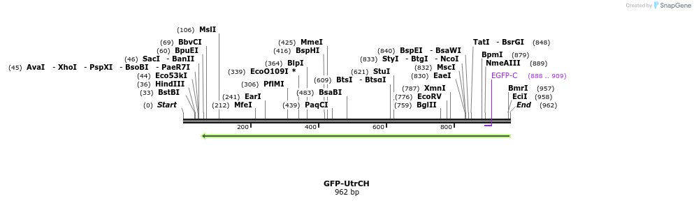 123084_map