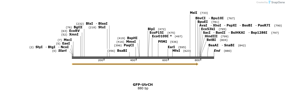 123086_map