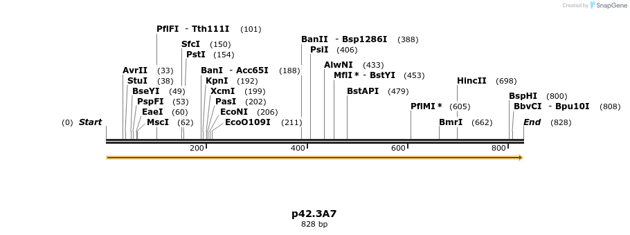 123087_map