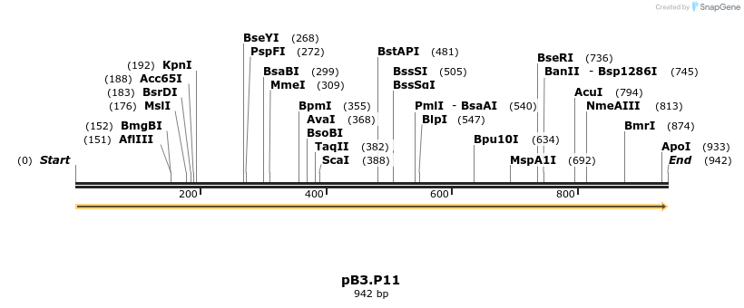 123096_map
