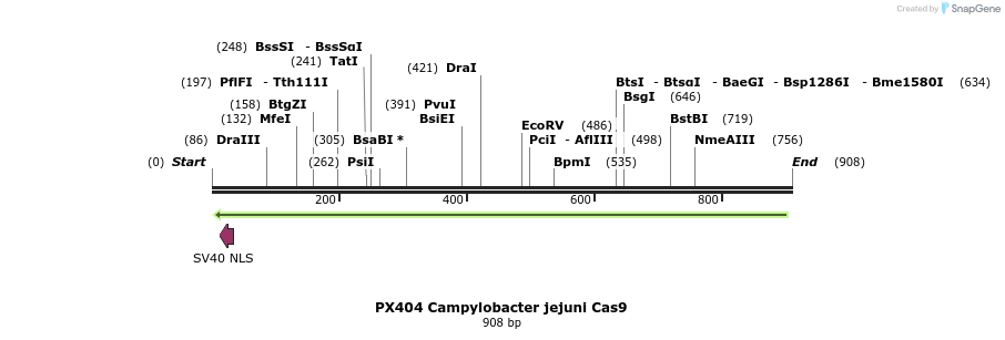 123099_map