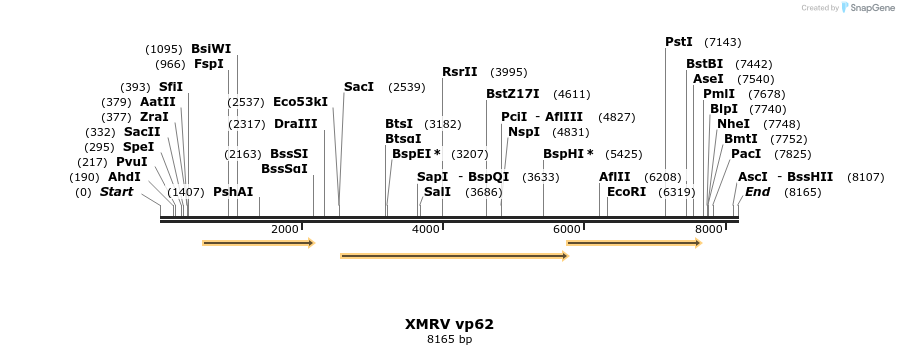 12310_map
