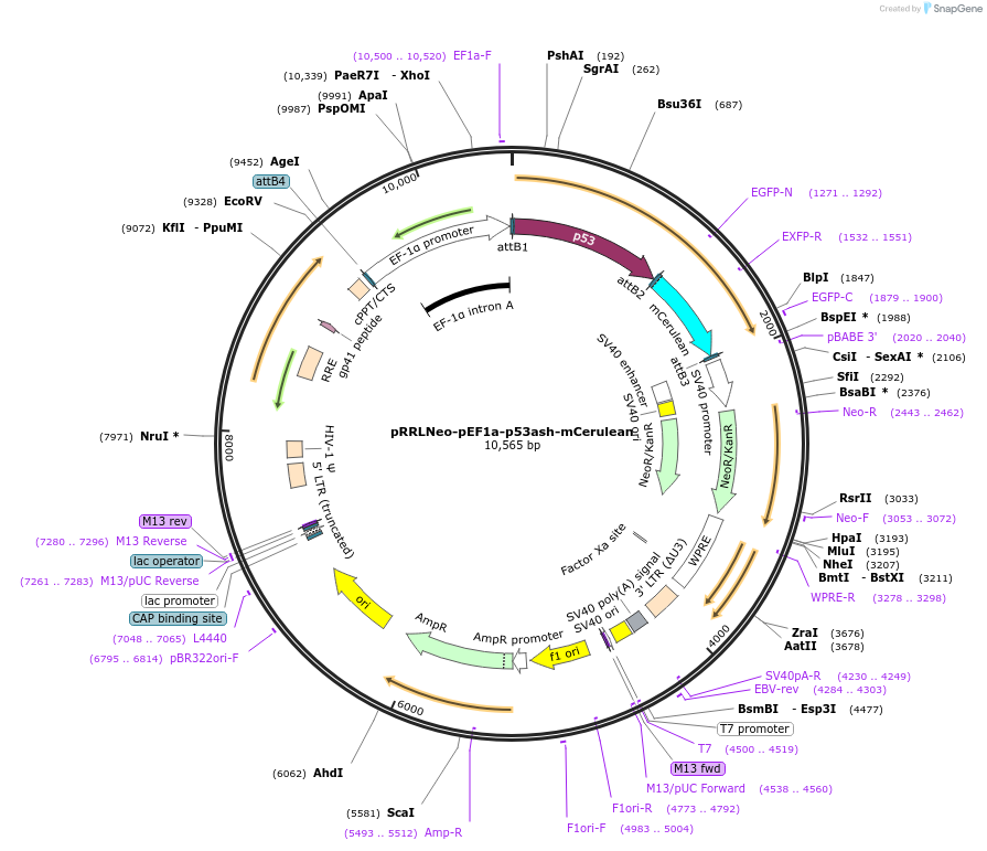 123101_map