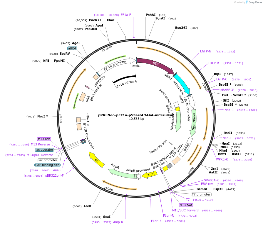 123102_map