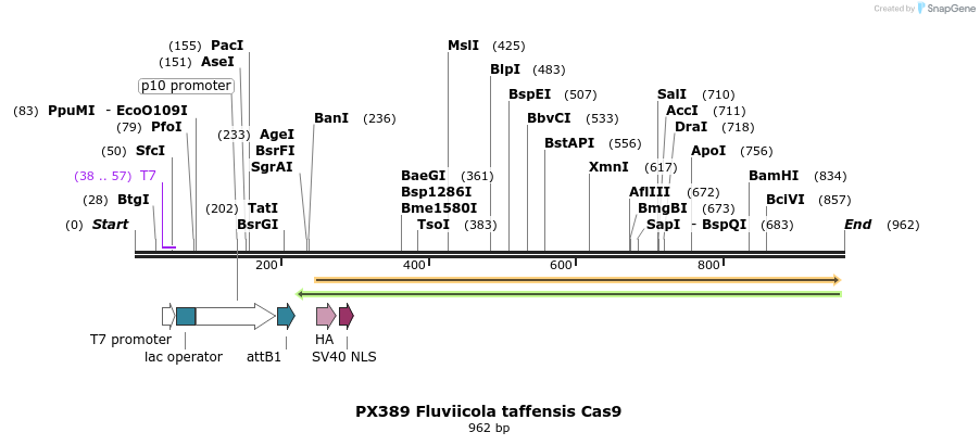123109_map