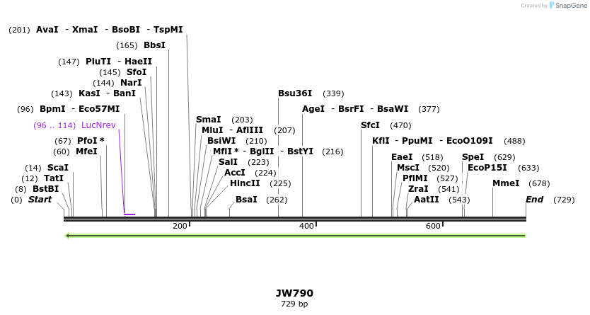 123120_map