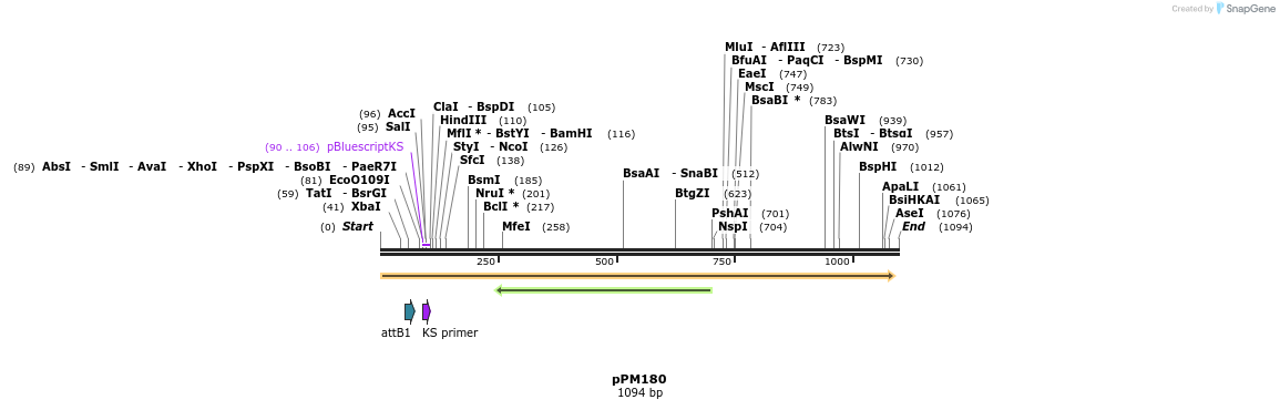 123122_map