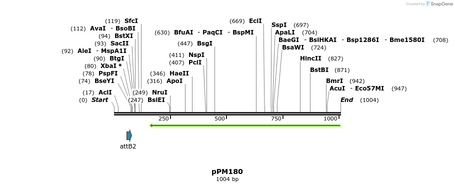 123123_map