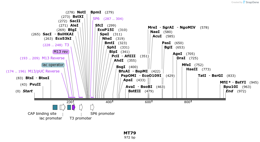 123130_map