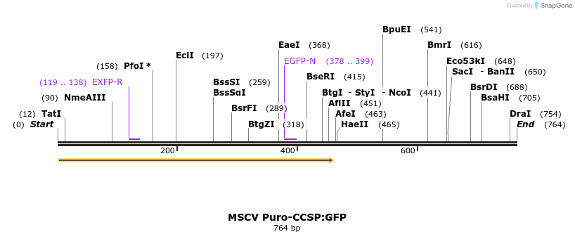 123134_map