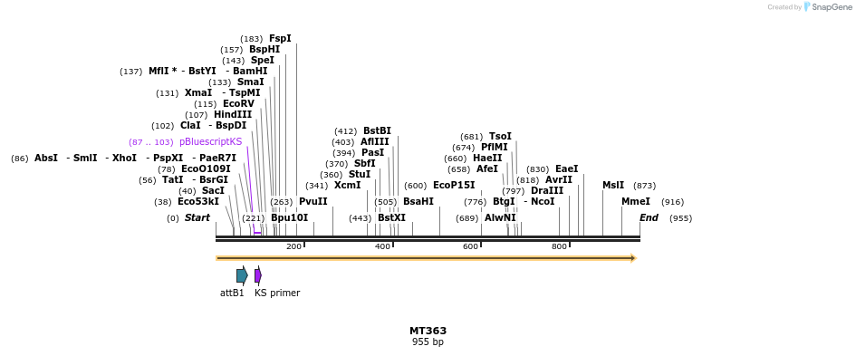 123135_map