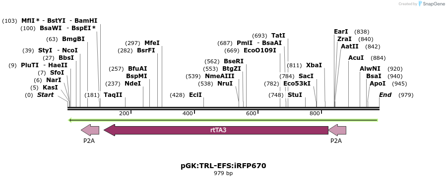 123138_map