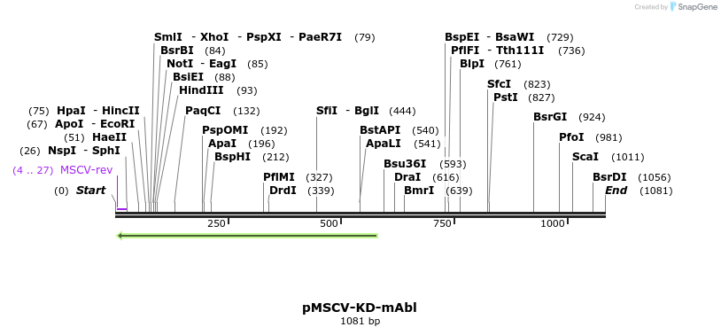 123140_map