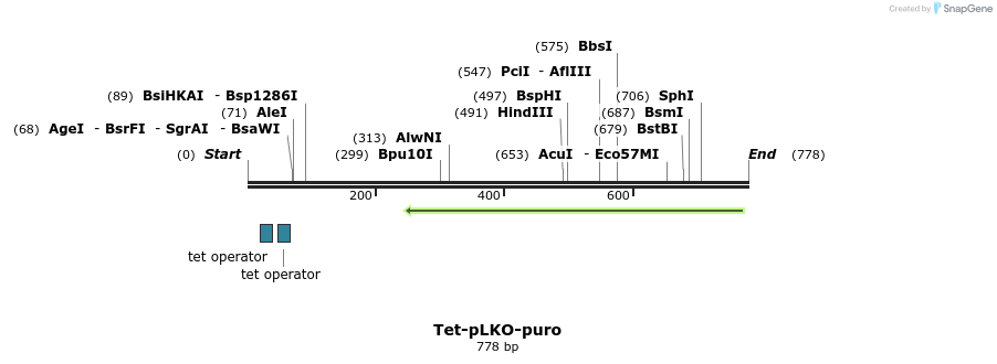 123145_map