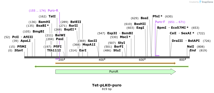 123146_map