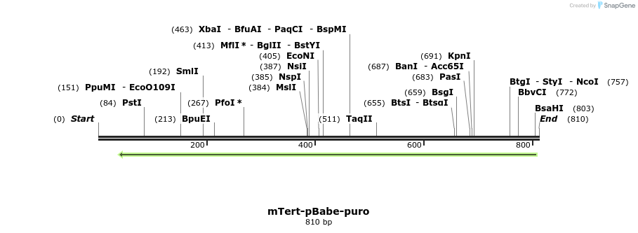 123148_map