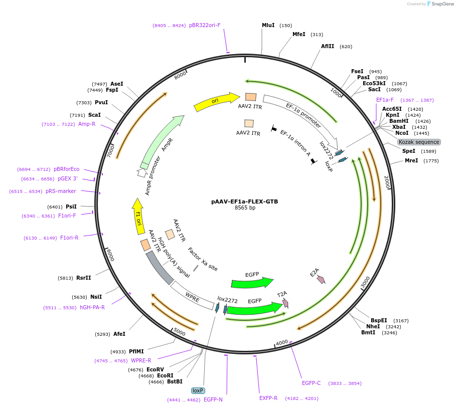 12315_map