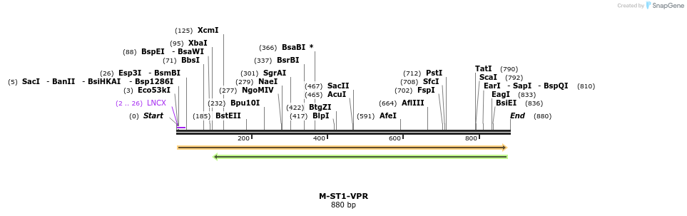 123153_map