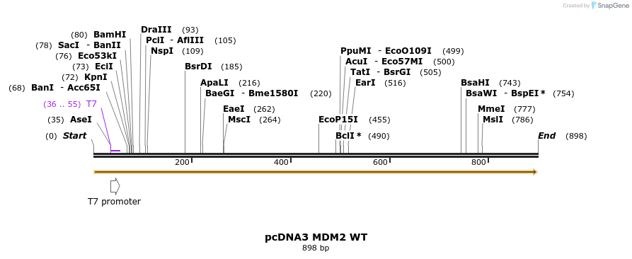 123155_map