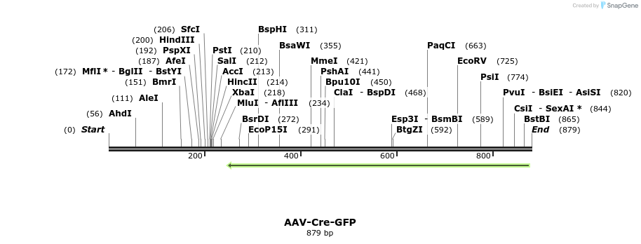 123158_map