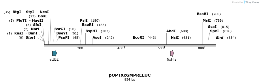 123161_map