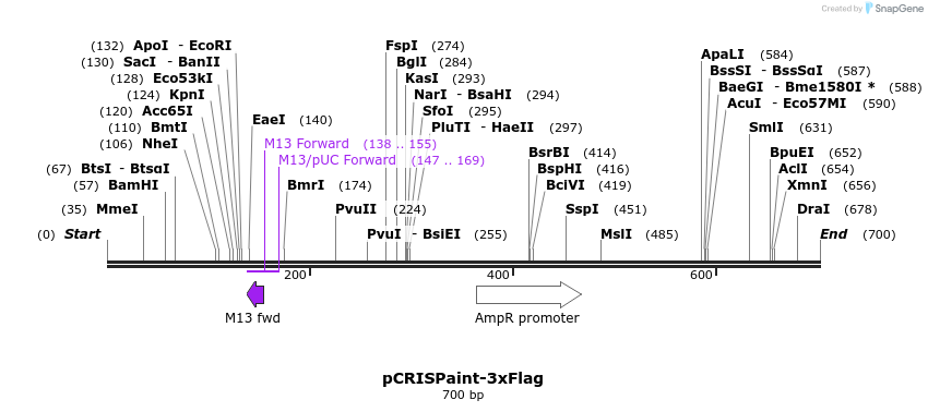 123166_map