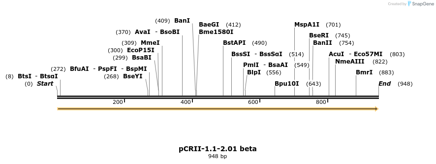 123172_map