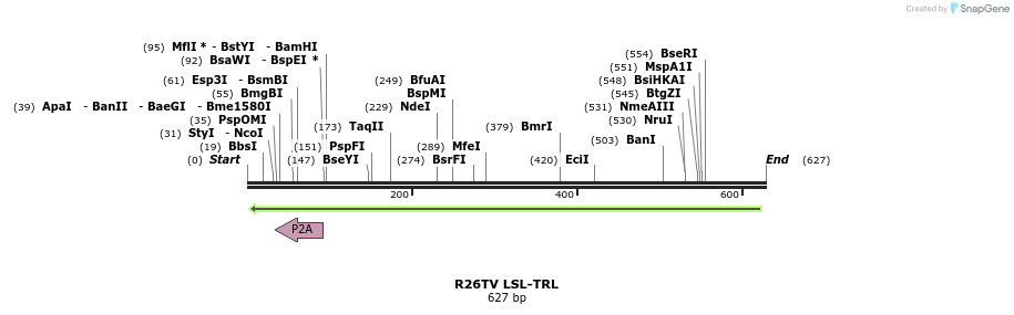 123181_map
